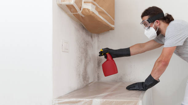 Professional Basement Mold Removal technician working in Washington Crossing, PA