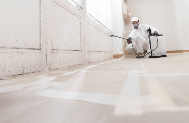 24/7 Emergency Basement Mold Removal experts in Washington Crossing, PA